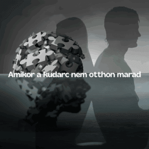 Psziché és politika