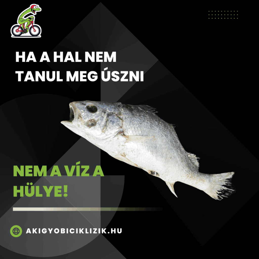 Ha a hal nem tud úszni...Ha a hal nem tud úszni...