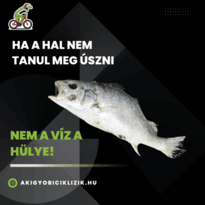 Ha a hal nem tud úszni...Ha a hal nem tud úszni...